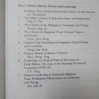 Southeast Asian Chinese and China: The Politico-Economic Dimension