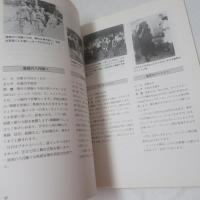 沖縄の祭り１９９０