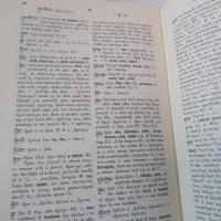 A TIBETAN-ENGLISH DICTIONARY
WITH SPECIAL REFERENCE TO THE PREVAILING DIALECTS.