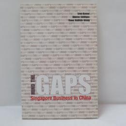 Mind the GAPS : Singapore Business in China