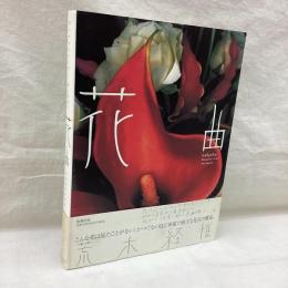 花曲　荒木経惟