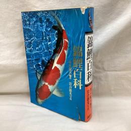 錦鯉百科
