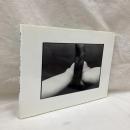細江英公展覧会のための写真集　「抱擁」と「薔薇刑」