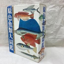 原色魚類大図鑑