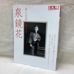 別冊太陽　泉鏡花　美と幻影の魔術師　日本のこころ167