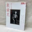 別冊太陽　泉鏡花　美と幻影の魔術師　日本のこころ167