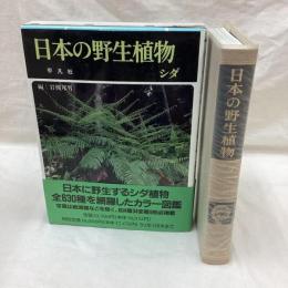 日本の野生植物　シダ