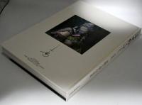 浮世絵くずし : 星野小磨作品集