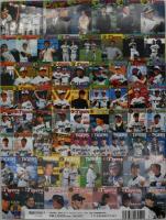 阪神タイガース写真集