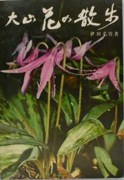 大山花の散歩