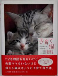 子育て猫