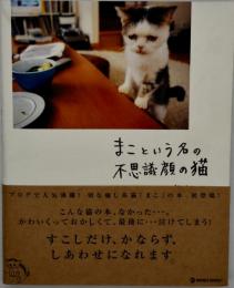 まこという名の不思議顔の猫