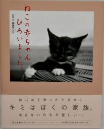 ねこの赤ちゃんひろいました。