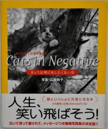 Cats in negative : きょうは何もしたくない日