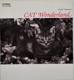 Cat wonderland