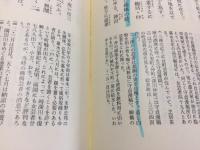 新日本古典文学大系