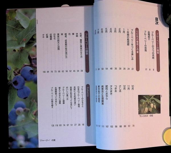ブルーベリー Nhk趣味の園芸 よくわかる栽培12か月 送料込み 堀込充 へんこや書房 古本 中古本 古書籍の通販は 日本の古本屋 日本の古本屋 ブルーベリー Nhk趣味の園芸 よくわかる栽培12か月 送料込み 堀込充 へんこや書房 古本 中古本 古書籍の通販は 日本の古本屋 日本の古本屋