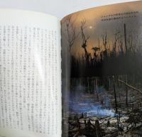 オーパ! (集英社文庫)