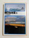 限りなき夏〈1〉  (角川文庫)