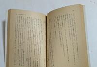 あたしの中の…  (集英社文庫）