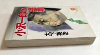 小沢一郎の挑戦 ＜徳間文庫＞