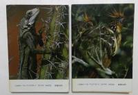 もっと広く  南米篇（上下巻） (文春文庫)