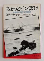 ちょっとピンぼけ　（文春文庫）