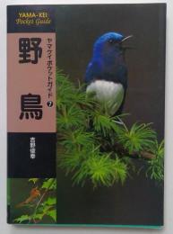 野鳥(ヤマケイポケットガイド7)