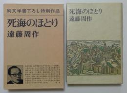 死海のほとり　純文学書下ろし特別作品　