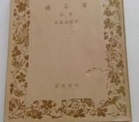 或る女 前編後篇　全2冊　（岩波文庫）
