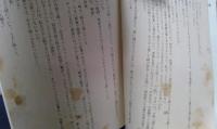ムツゴロウ麻雀記 (徳間文庫) 