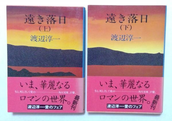 遠き落日〈上・下〉 (角川文庫)(渡辺淳一 ) / 古本、中古本、古