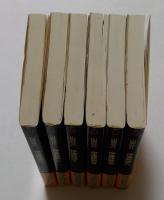伊達政宗 : 長編歴史小説　全６冊 ＜光文社文庫＞