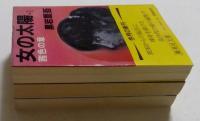 女の太陽Ⅰ,Ⅱ,Ⅲ巻セット　全3冊揃　（集英社文庫）