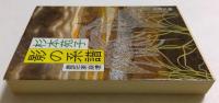 影の系譜: 豊臣家崩壊 (文春文庫）