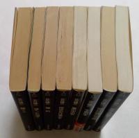 北方謙三著作品8冊セット　（光文社文庫）　錆，遠く，ただ遠く，標的，雨は心だけ濡らす，風の中の女，不良の木，明日の静かなる時，ガラスの獅子