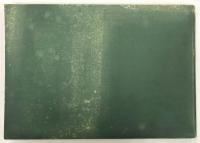 The Illustrated Catalogue of Japanese Fine Art Exhibits in the Art Palace at the Louisiana Purchase Exposition, St. Louis, Mo. U.S.A.（セントルイス万国博覧会出品 日本美術図録）