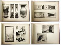 The Illustrated Catalogue of Japanese Fine Art Exhibits in the Art Palace at the Louisiana Purchase Exposition, St. Louis, Mo. U.S.A.（セントルイス万国博覧会出品 日本美術図録）