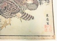 木版画 「鷓鴣」（「海舶来禽図彙」より）