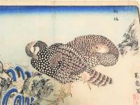 木版画 「鷓鴣」（「海舶来禽図彙」より）