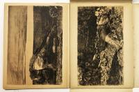 Käthe Kollwitz Bauernkrieg