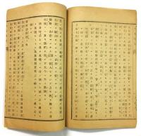 「大有新誌」 第一號