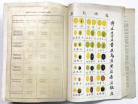 The Soy Bean Wild and Cultivated in Eastern Asia.