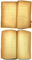 千振協拓組合決算書（康徳五年上半期）／移民團一般概況（康徳五年十一月）
