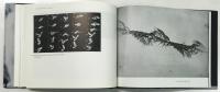 Etienne-Jules Marey: A Passion for the Trace
