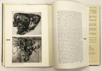 Observations of Michel Tapié