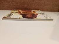 源氏紗菜写真集　め・ざ・め　撮影　上野勇　心交社