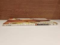 源氏紗菜写真集　め・ざ・め　撮影　上野勇　心交社