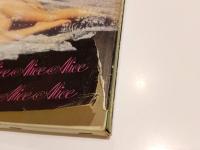 Alice 少女アリス 沢渡朔 河出書房出版 1974年発行 第3刷