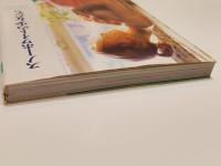 スノーホワイトの少女たち TWINKLE 写真集 撮影：高橋生建 コスミックインターナショナル　文庫版